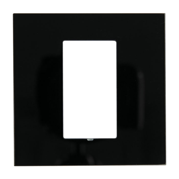 C4-SFP1-BG_01 C4-SFP1-BG_01