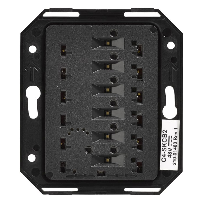 C4-SKCB2-N_01 C4-SKCB2-N_01